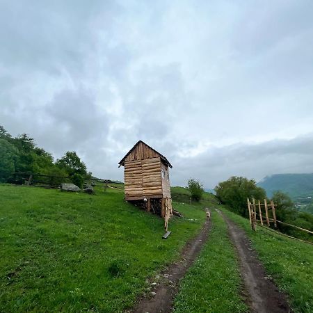 Alereks Mountain Camping Tumanyan المظهر الخارجي الصورة