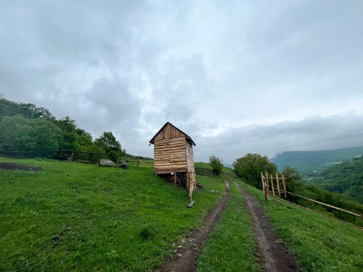 Alereks Mountain Camping Tumanyan المظهر الخارجي الصورة